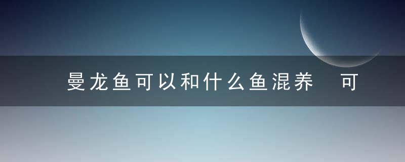 曼龙鱼可以和什么鱼混养 可以和曼龙鱼混养的鱼介绍